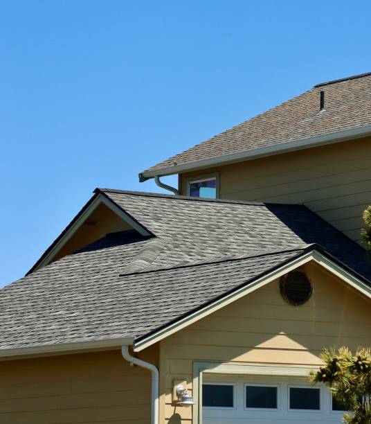 Best Roof Leak Repair  in Maple Lake, MN